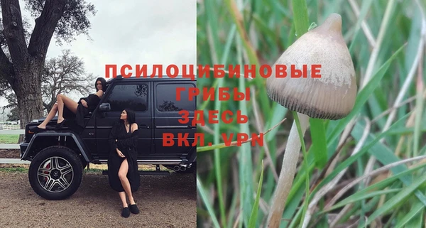 экстази Алексеевка