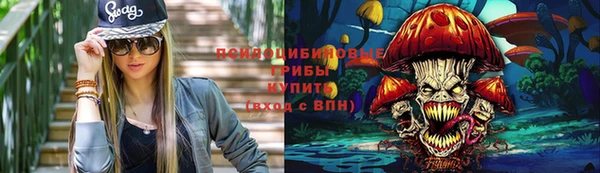 твердый Алексин