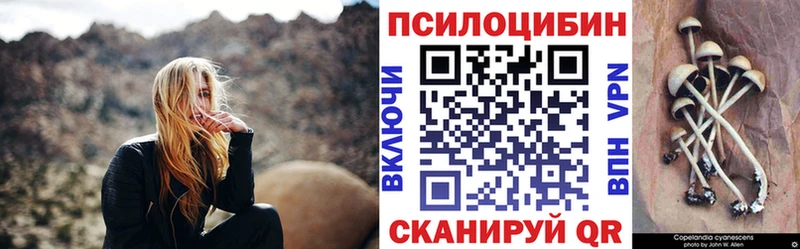 Галлюциногенные грибы Psilocybe  наркошоп  Покачи 